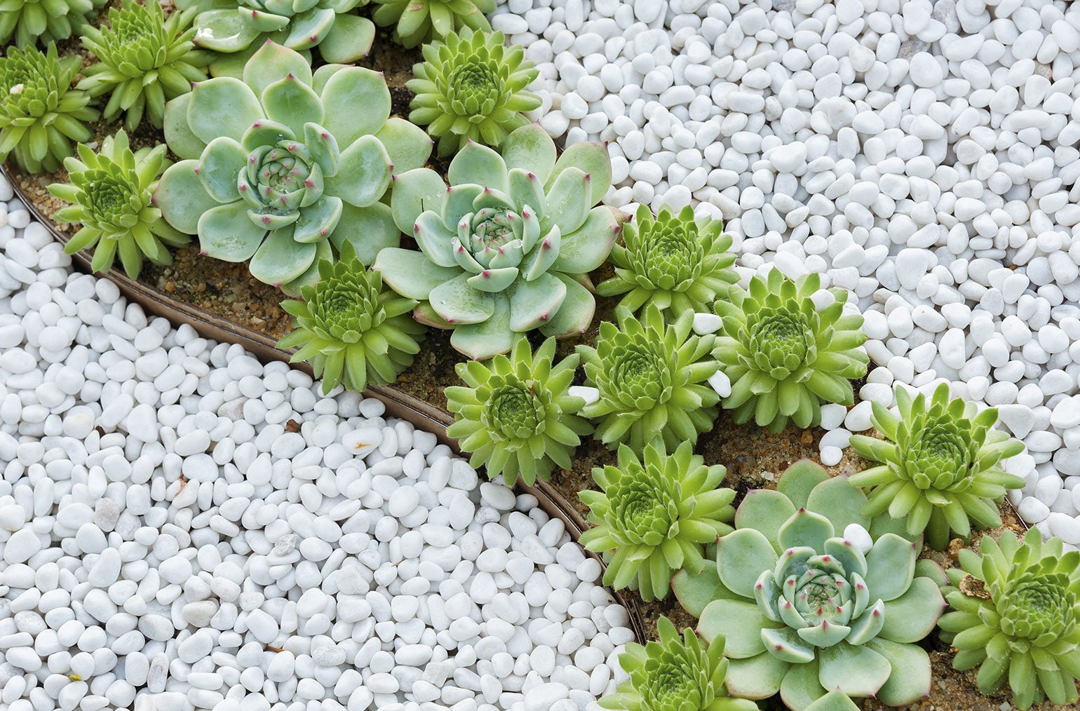 Bien éclairer un jardin sec - Lumihome