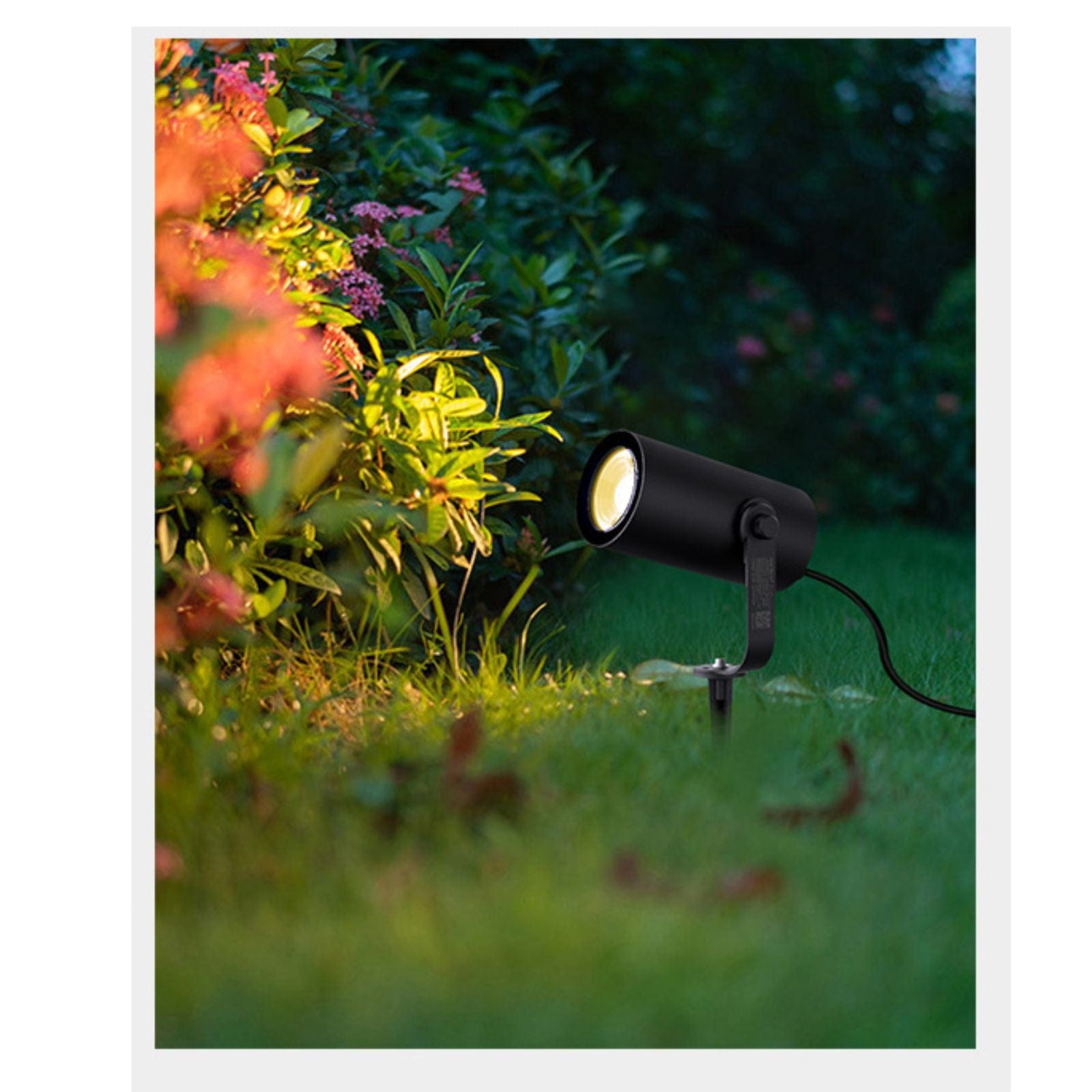 LED-Pflanzstrahler RGB/CCT verbunden Mi-Boxer - 1100 Lumen - 230V - 12W - Fernbedienbar - Lumihome-France.com